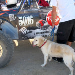 M.O.R.E. MCKENZIE’S 500 RACE IN LUCERNE VALLEY 5/25/13